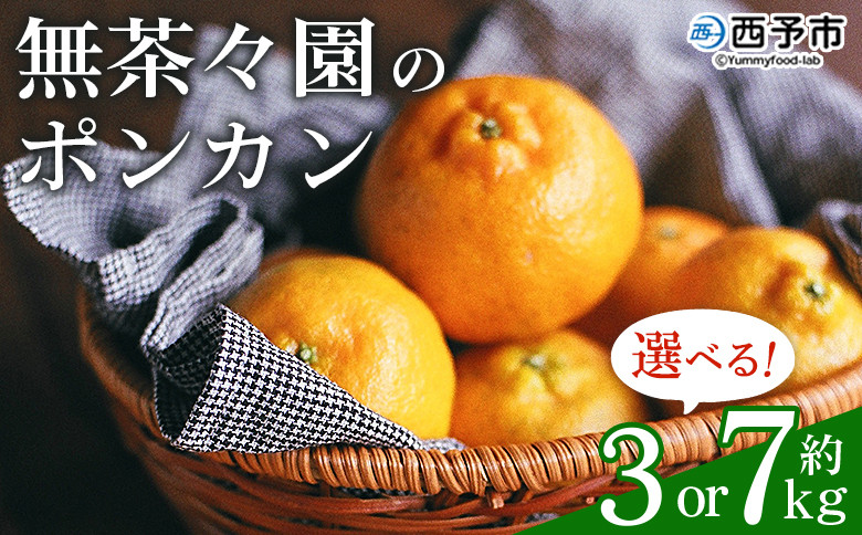 
無茶々園のポンカン 約3kg／7kg　果物 くだもの フルーツ 選べる内容量 ぽんかん みかん 蜜柑 柑橘類 かんきつ 旬 甘い 濃厚 新鮮 期間限定 季節限定 産地直送 特産品 愛媛県 西予市 【常温】
