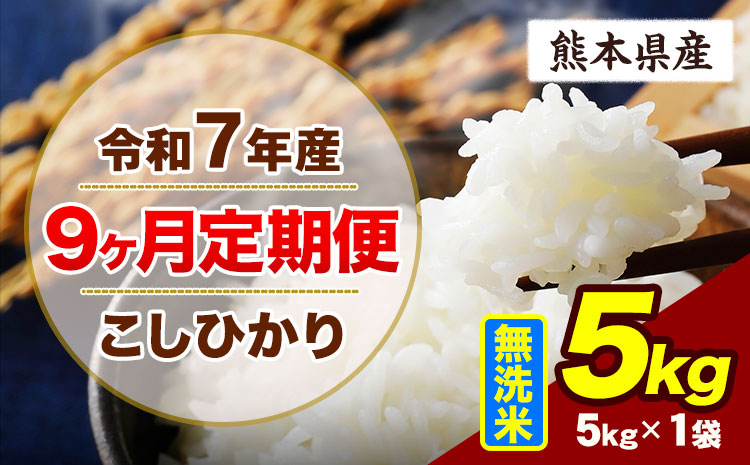 【9ヶ月定期便】令和7年産 定期便 こしひかり 5kg  無洗米 阿蘇 うぶやま 米 定期便 熊本県産 ふるさと納税 精米 ひの 米 こめ ふるさとのうぜい コシヒカリ コメ お米 おこめ《申込月の翌月から出荷開始》
