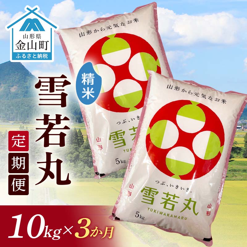 【ふるさと納税】令和7年産 金山産米「雪若丸【精米】」（5kg×2袋）×3ヶ月・定期便 計30kg 定期便 3ヶ月 米 お米 白米 ご飯 精米 ブランド米 雪若丸 送料無料 東北 山形 金山町 F4B-0695