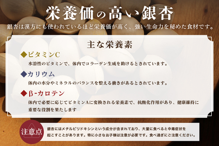 つくば 銀杏 ( ぎんなん ) 大玉 銀杏 殻付 冷凍 500g 農薬不使用 無着色 贈答品 ギフト 高級 旬 食材 食品 国産 冷凍保存 産地直送 送料無料 (A24-003)