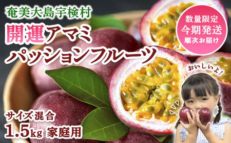 【2026年6月～7月頃順次発送予定】パッションフルーツ 家庭用 (1.5kg) バラ詰め サイズ混合 【数量限定 期間限定】 鹿児島県産 国産 奄美大島 宇検村 果物 フルーツ リリコイ 果物時計草 デザート 旬 新物 奄美大島開運酒造 パッションフルーツ リリコイ 