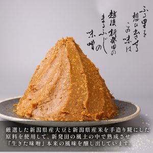 糀味噌 手作り味噌 味噌 味噌 味噌 味噌 味噌 fujita001