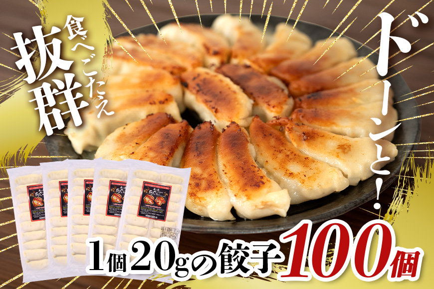 美ら島あぐー餃子 100個セット 20個入×5パック 絶品 こだわり 豚 肉 国産 ごはん おかず お弁当 冷凍 ぎょうざ ギョウザ 小分け BBQ ギョーザ 惣菜 晩酌 ギフト 手作り 生餃子 豚肉