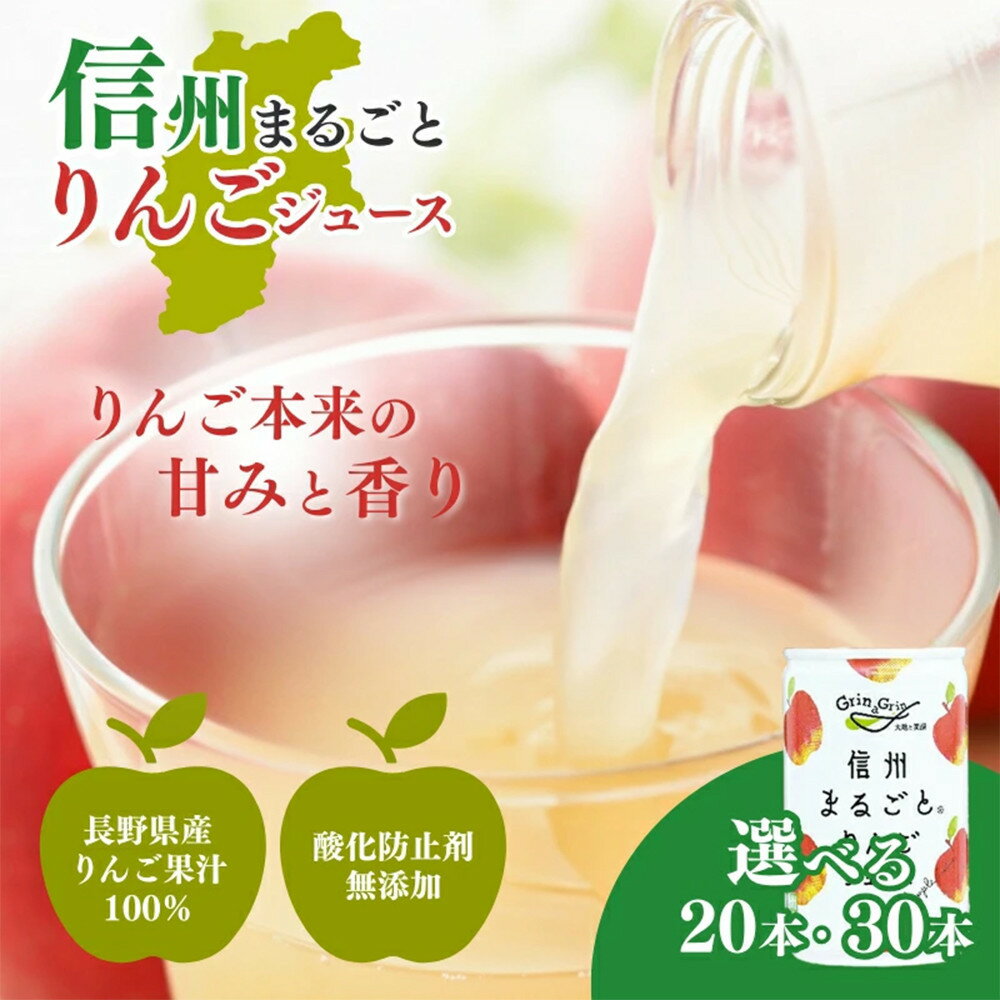 【ふるさと納税】りんごジュース 長野 信州まるごと りんご ジュース 160g×選べる20～30本