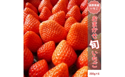 ＜2026年発送予定＞長野県産 いちご おまかせ 6パック＜約1.2kg＞【1705366】