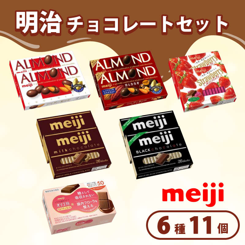 《 明治 なるほどファクトリー 東海 》 チョコレート セット Bセット 6種類 11個入  静岡県 藤枝市 人気お菓子 ふるさと納税お菓子 ふるさとお菓子【PT0123-000075】