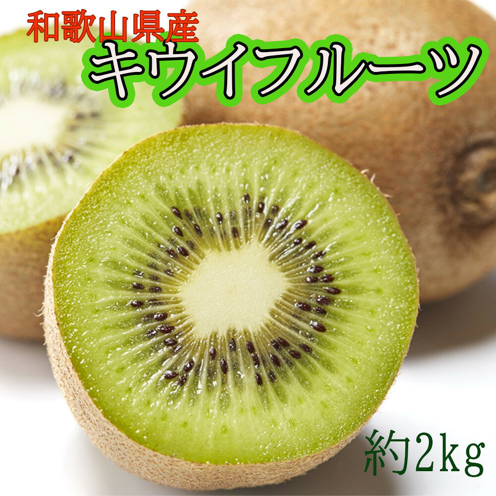 【ふるさと納税】［先行予約］ 和歌山県産キウイフルーツ約2kg サイズ混合 ★2026年11月下旬頃より順次発送 ［TM225］ | キウイ フルーツ 青果 果物 くだもの 食品 人気 おすすめ 送料無料