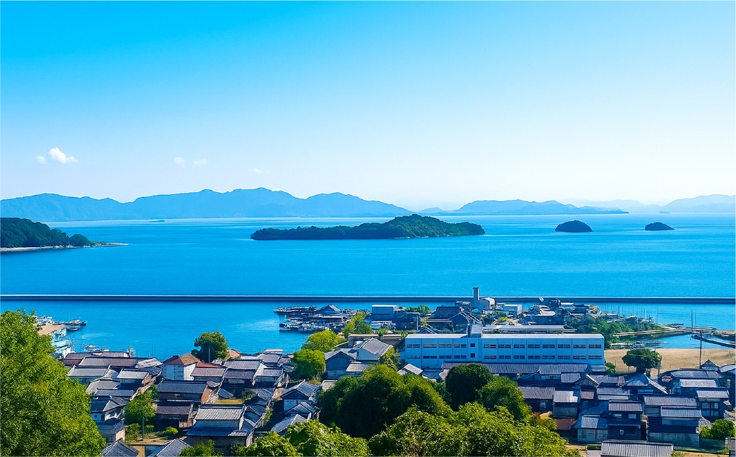 瀬戸内海 海鮮 づけ丼