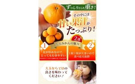 みかん 温州みかん 2kg  ボリューム満点！大玉  ※秀優混合【2L～3Lサイズ】【2025年12月から2026年２月下旬頃に順次発送】＜味好農園＞/ 温州 蜜柑 柑橘 果物 フルーツ ミカン 甘い