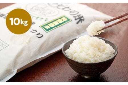 新米　R５年産　丹波篠山産特別栽培コシヒカリ白米10kg BE02