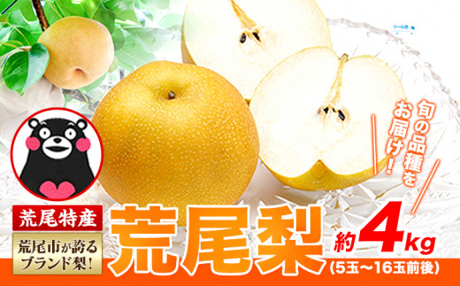 【 2026年 先行予約 】 梨 荒尾梨 和梨 約4kg なし フルーツ 果物 新鮮《2026年8月下旬‐11月中旬頃出荷》熊本県 荒尾市産 デザート 旬の梨 幸水 豊水 あきづき 他4種 合計8種のいずれかをお届け（品種指定はできません） あたご梨