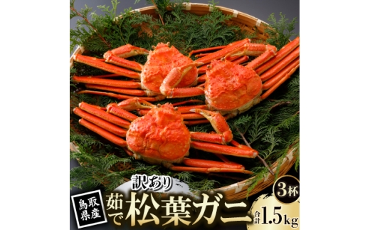 ＜先行予約＞鳥取県産 訳あり 茹 松葉がに 500g×3杯(中村商店)26年12月・27年1月発送【1692807】