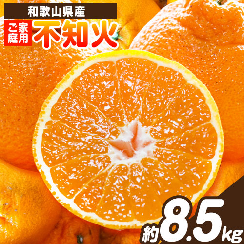 【先行予約】【ご家庭用】紀州有田産不知火(しらぬひ) 約8.5kg 株式会社魚鶴商店《2026年2月中旬-3月中旬頃より出荷》 和歌山県 日高町 不知火 しらぬい 柑橘 ご家庭用