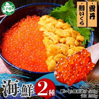 ふるさと納税 弟子屈町 2種海鮮丼 鱒いくら醤油漬け100g×5個 ウニ100g×2個 北海道弟子屈町 3402