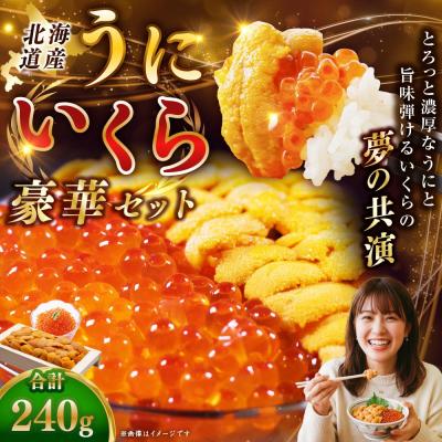 ふるさと納税 釧路市 えぞバフンうに折150g×1 いくら醤油漬け90g×1 北海道 釧路 F4F-8830