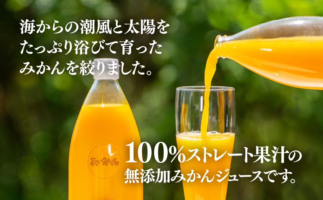 ごくしぼりみかんジュース 国産 みかん ジュース 柑橘 蜜柑 ミカン ジュース 飲料 ドリンク 温州みかん 添加物不使用