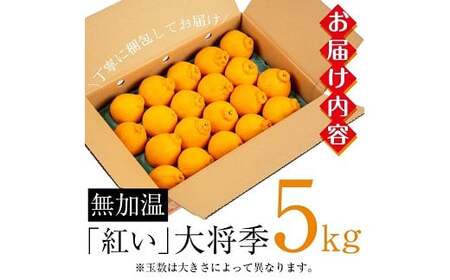 【先行予約・1月中旬頃から発送】JAさつま日置いちき串木野産無加温大将季 約5kg 不知火(デコポン)の枝変わり新品種!【A-2003H】