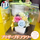 【ふるさと納税】 プリザーブドフラワー 花 バラ アレンジメント 華やか 母の日 記念日 ギフト プレゼント クリアケース入り 18cm角 焼津 a13-056