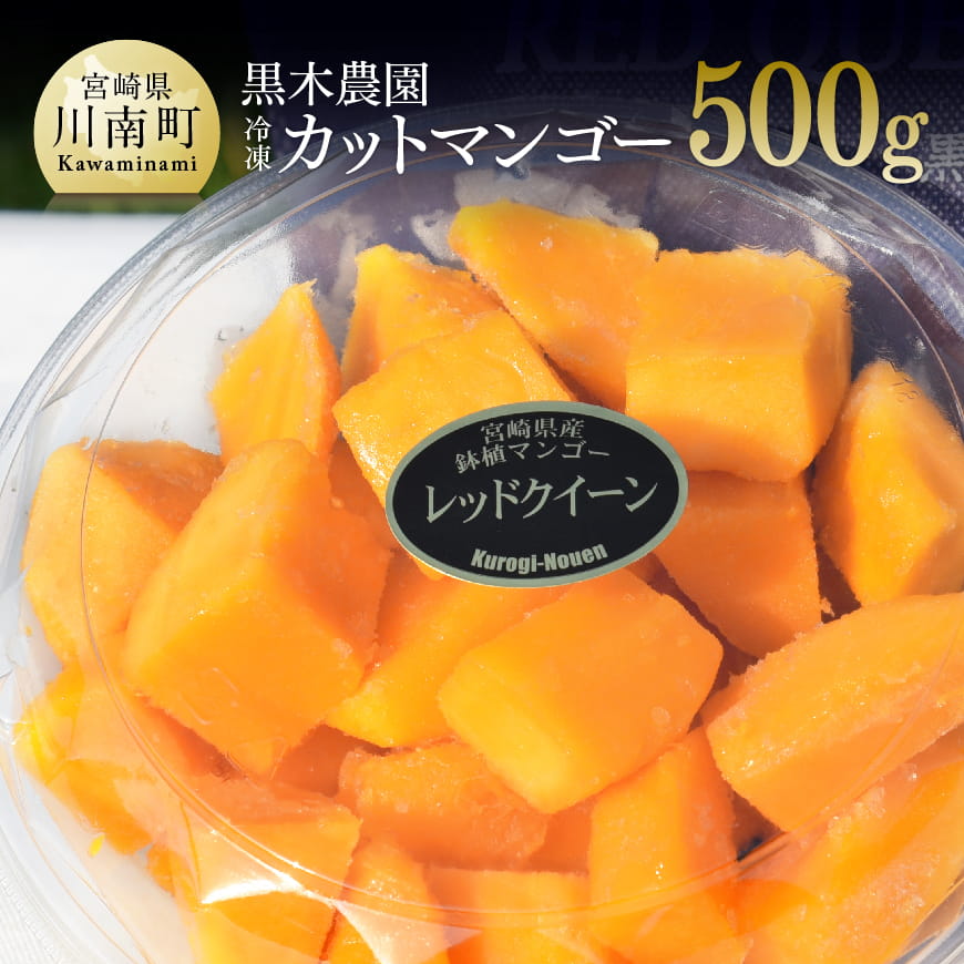 宮崎県産マンゴー　黒木農園の冷凍カットマンゴー（種なし）500g　マンゴー 果物 季節限定 [C03202]