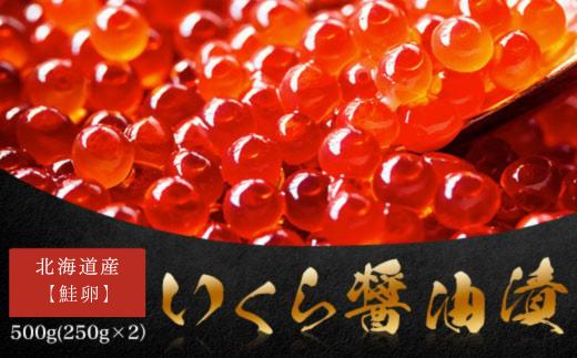 北海道産【鮭卵】 いくら醤油漬 500g(250g×2）【 ふるさと納税 人気 おすすめ ランキング イクラ 醤油漬け いくら醤油漬 イクラ醤油漬 いくら醤油漬け イクラ醤油漬け 鮭いくら 鮭イクラ 鮭 鮭卵 いくら 醤油鮭いくら 醤油鮭イクラ さけ サケ 鮭 醤油漬 500g 海鮮 新鮮 小分け 北海道 網走市 送料無料 】 ABW103