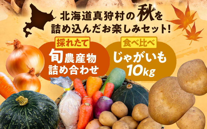 【2026年11月下旬以降発送】 秋の味覚セット（大）（じゃがいも10kg・旬の農産物詰め合わせ） | 野菜セット 野菜 じゃがいも 詰め合わせ 旬の野菜 セット 食べ比べ 北海道 | 道の駅 真狩フ