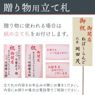 胡蝶蘭 白中輪アマビリス2本立 18輪 ※お届け不可地域あり【008D-001】