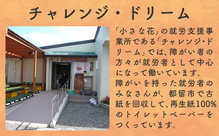 【シングルソフト100ロール】オリジナルトイレットペーパー　ドリームロール