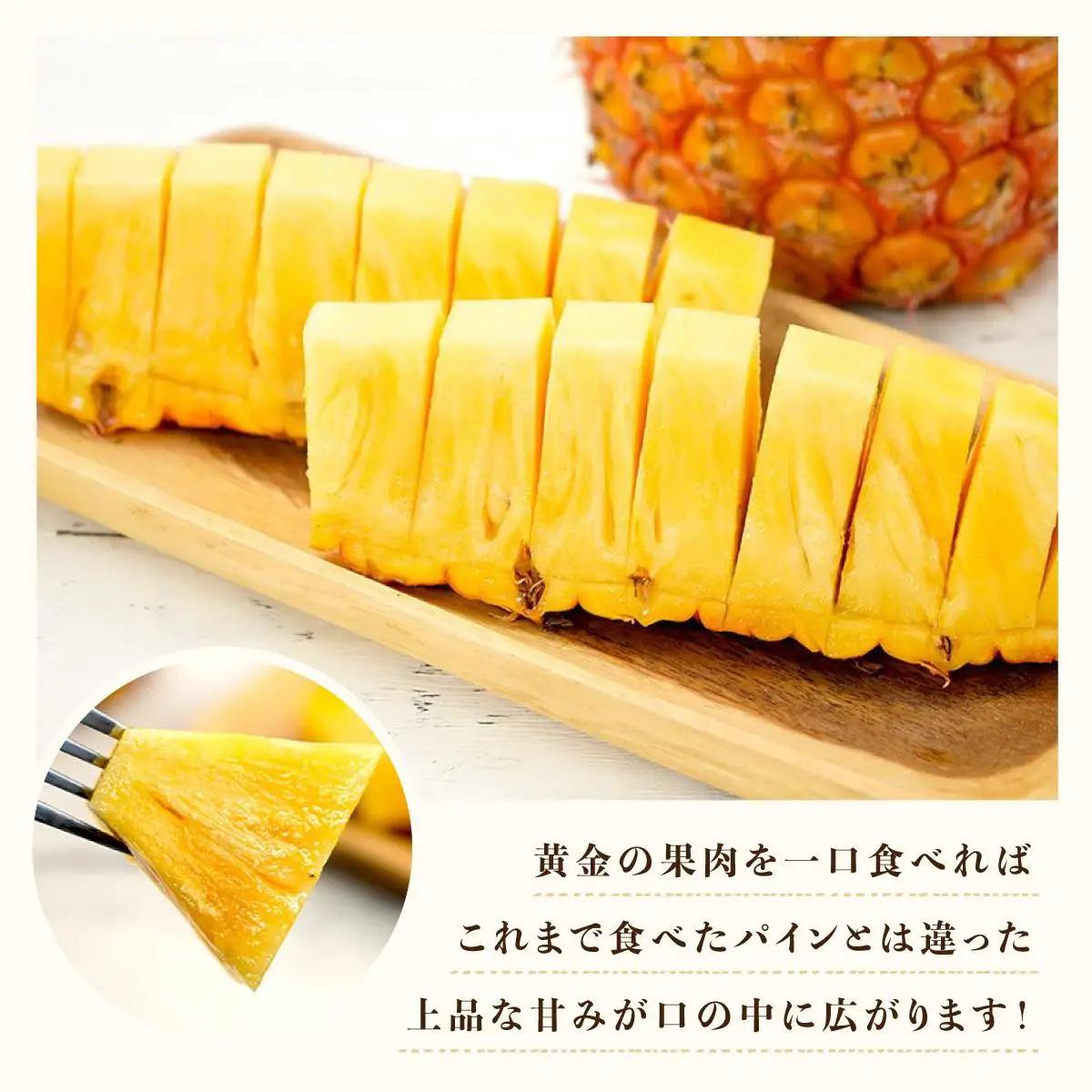 最高級 パイン 完熟 ゴールドバレル 1.0kg
