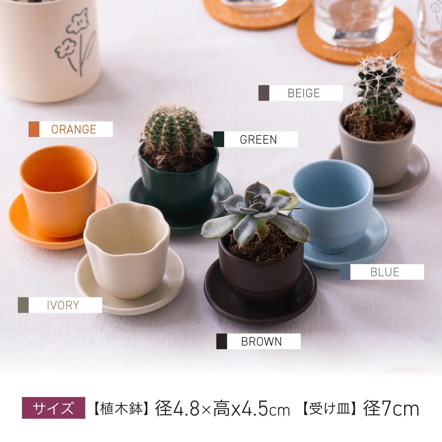 【美濃焼】miBRAND Mini-Ueki-Pot 植木鉢【６色セット】ポット 鉢 植物[MCG075]
