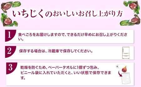 いちじく イチジク 約1.2kg 300g × 4パック 岸武青果株式会社《7月下旬-11月末頃より出荷予定》 和歌山県 紀の川市 イチジク 生 産地直送 果物 フルーツ