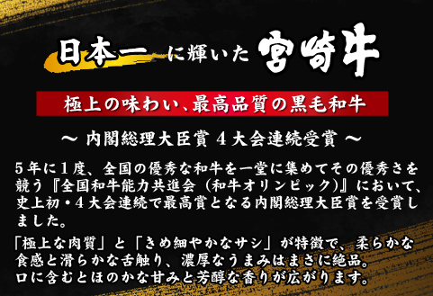 【定期便・全6回】百名店の宮崎牛特選サーロインステーキ（200ｇ×２枚×6ヶ月）（国産 牛肉 国産牛 和牛 黒毛和牛 赤身 サーロイン ステーキ 焼肉）