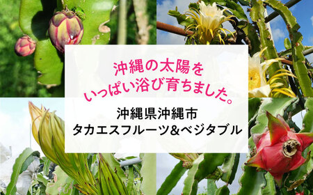 【2026年発送 先行受付】 完熟ドラゴンフルーツ 2kg (5玉) 果物 フルーツ スーパーフード 産地直送 沖縄市 / タカエスフルーツ＆ベジタブル[BCBH004]