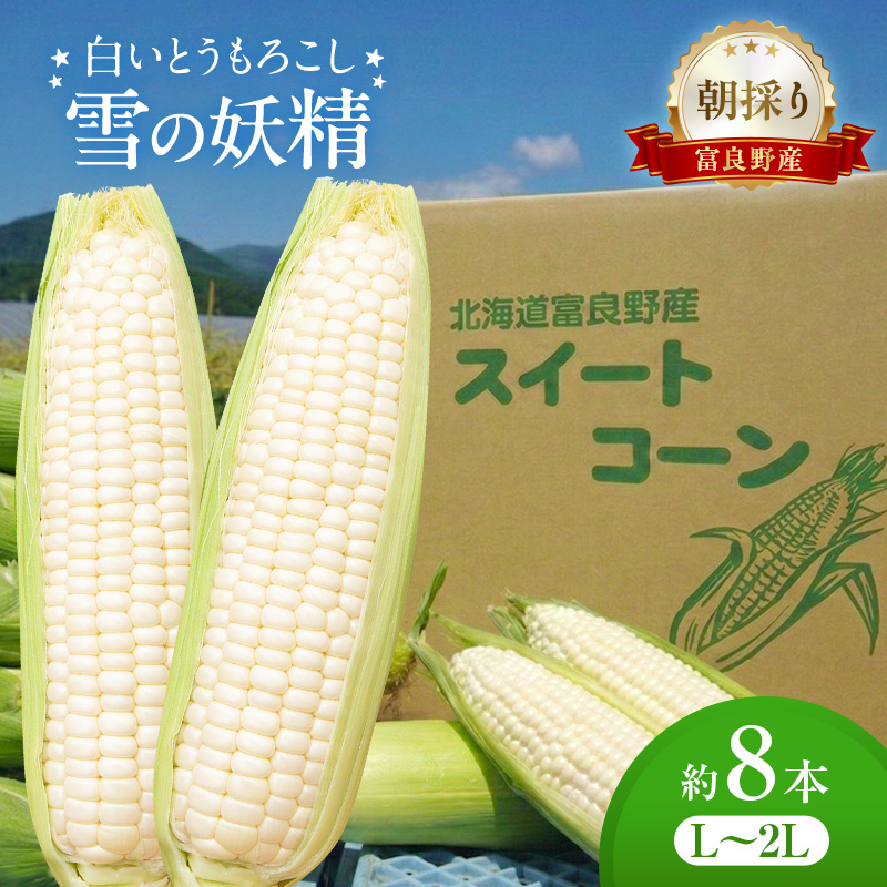 朝採り 白いとうもろこし 「雪の妖精」 北海道富良野産 L～2L 約8本 [ とうもろこし とうきび コーン ホワイトコーン 野菜 北海道 富良野 ]