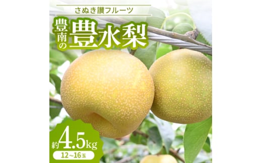 さぬき讃フルーツ「豊南の豊水梨」約4.5kg＜令和7年9月発送＞【1610121】