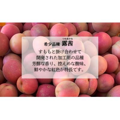ふるさと納税 南相馬市 梅農園ジャム 600g (100g×6個) | 梅ジャム 梅 国産 無添加 完熟 露茜 相馬アグリ |  | 01
