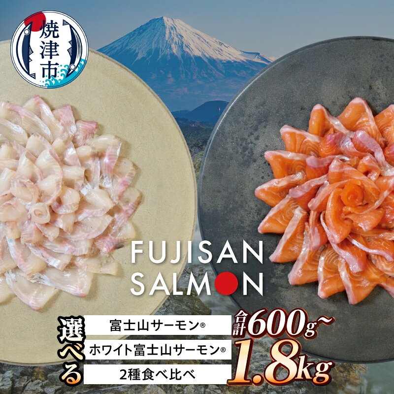 【ふるさと納税】 サーモン 【選べる種類/容量】 富士山サーモン® ホワイト富士山サーモン® 600g〜1.8kg 紅白食べ比べセット フィレ お刺身 カルパッチョ ソテー 冷凍 おかず おつまみ 食べ比べ 焼津 a13-147
