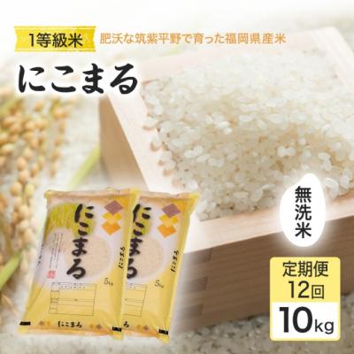 ふるさと納税 小郡市 定期便12回 1等級米 にこまる 無洗米10kg[No5354-2376]