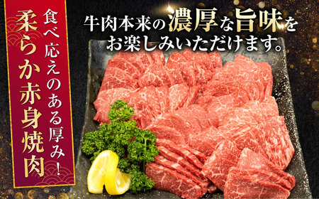 熊本県産 A5等級 黒毛和牛 和王 柔らか赤身焼肉 約300g×4P 計約1.2kg タレ2本付き【帝神志方ミート 株式会社】[AYCH082]