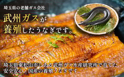 武州うなぎ 国産うなぎ蒲焼 １尾 大サイズ 冷凍真空パック（約150g）【埼玉県 東松山市 母の日 鰻 父の日ウナギ 誕生日プレゼント 鰻の蒲焼き 特選品 美味しいお取り寄せ 贈り物 グルメ 旬 おす