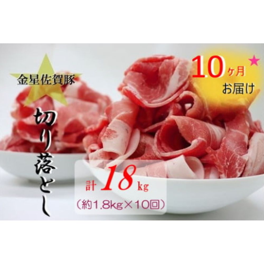 【ふるさと納税】TA-3【10ヶ月定期便】金星佐賀豚 切り落とし(300g×6パック)10回お届け