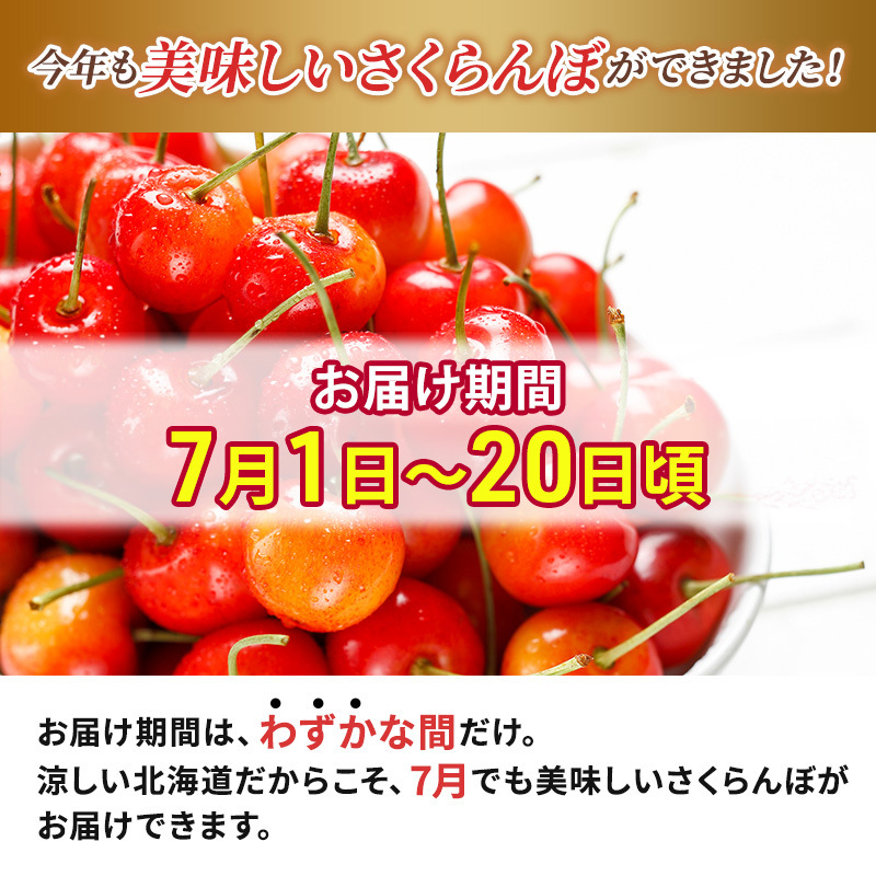 北海道 仁木町産 サクランボ 佐藤錦  300g L・M混合  松山商店_イメージ2