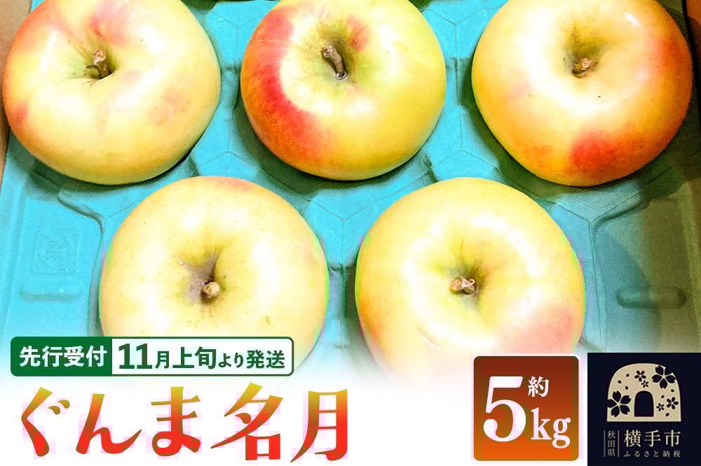 
            【先行受付】11月上旬より発送 ぐんま名月 約5kg りんご リンゴ 林檎
          