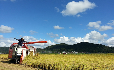 定期便 3ヶ月 米 新潟県上越市産 横山農園 コシヒカリ 令和7年産 2kg（2kg×1袋）毎月毎月3回配送 こしひかり お米 精米 米 ご飯 送料無料