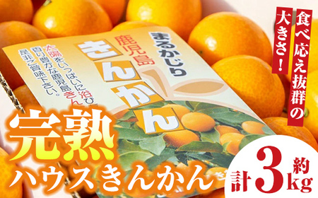 【A18004】＜先行予約受付中！2026年2月下旬に収穫ができ次第順次発送予定＞肝付町産 完熟ハウスきんかん(約3kg×1ケース)鹿児島 国産 フルーツ 果物 柑橘 金柑 きんかん 果汁 ギフト お歳暮【JA鹿児島きもつき高山支所】