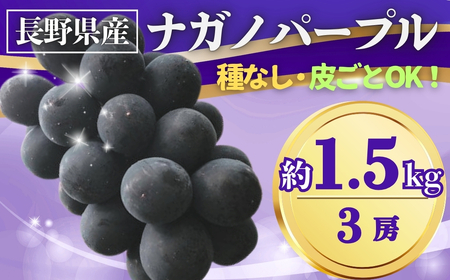 【2026年先行予約】ぶどう ナガノパープル 約1.5kg(3房)｜ ぶどう