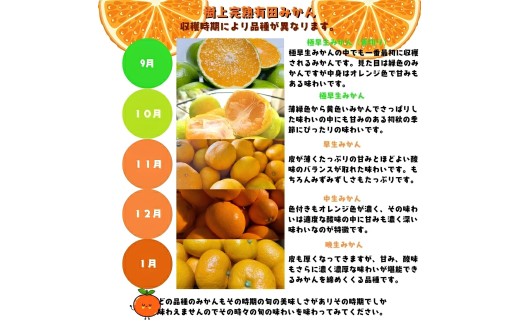 【11月発送】有田育ちの完熟有田みかん 家庭用 サイズ混合(2S～2L)　約2.2kg(2kg+200g)【ard201D-11】