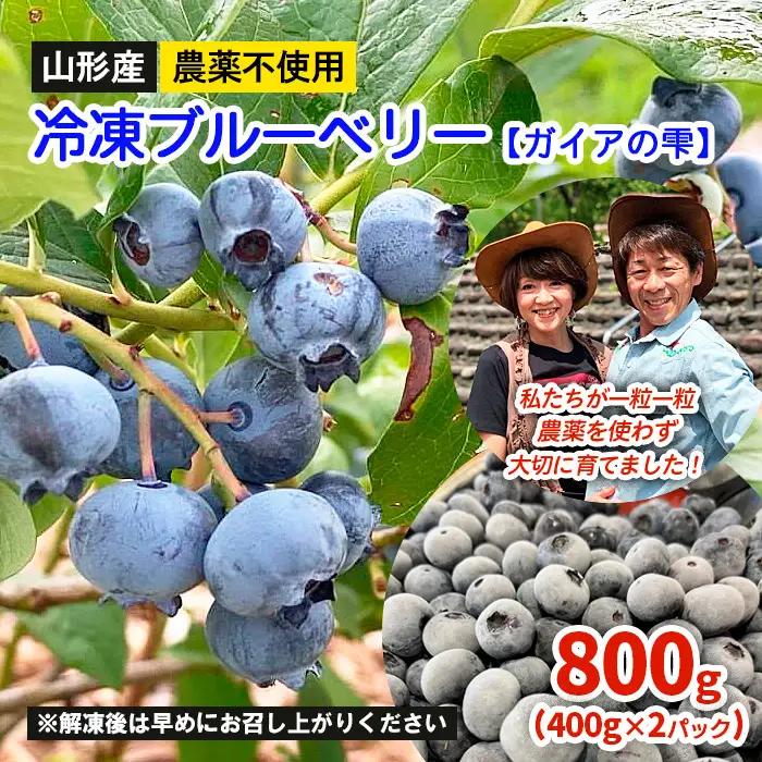 山形産 農薬不使用 冷凍ブルーベリー【ガイアの雫】800g(400g×2)★真空包装★  FZ23-581