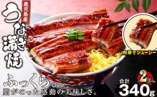 1121-4 鹿児島産うなぎ170g×2尾 清らかな地下水育ち！ 国産 本格 うなぎ 鰻 蒲焼（鹿児島）　KN021-014-02