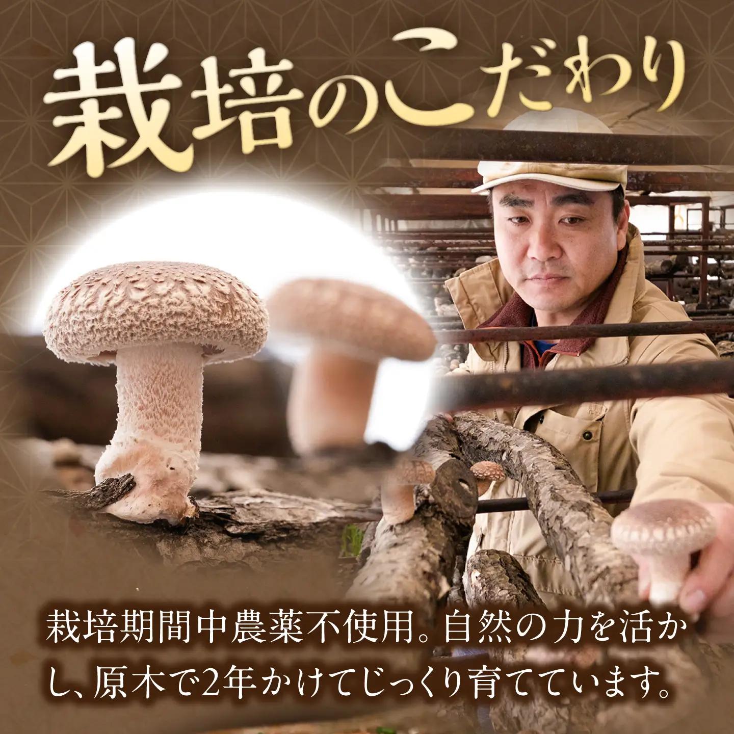 原木 生しいたけ 700g~900g | 合同会社カルシ [BNAU002]
