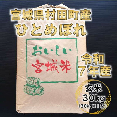 【ふるさと納税】令和7年産 ひとめぼれ 玄米30kg 宮城県村田町産【1576073】